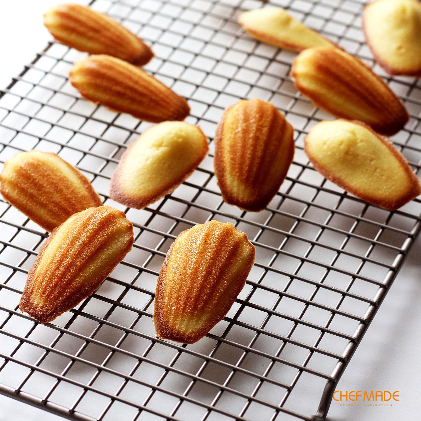 Madeline Cake Pan Oval Shell 6 Well