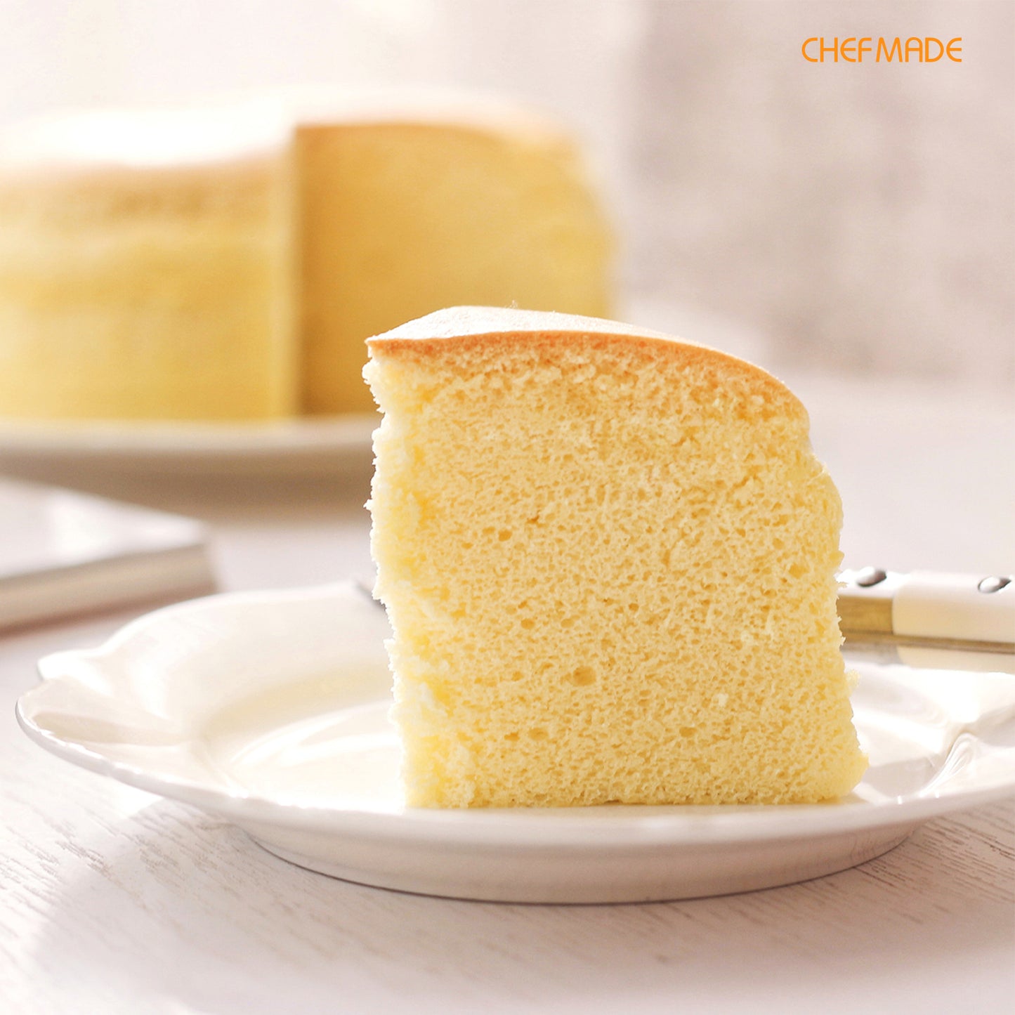 10" Nonstick Round Springform Cheesecake Pan(Black)