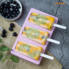Popsicle Mold (Classical Stripes)